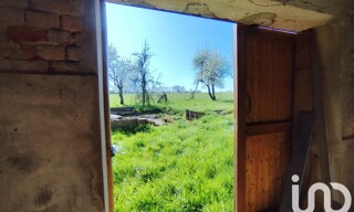 Photo N° 5