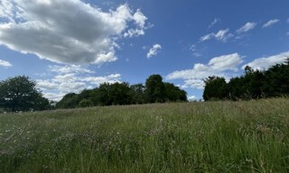 Photo N° 8