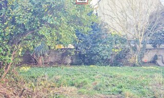 Photo N° 4