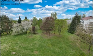Photo N° 4