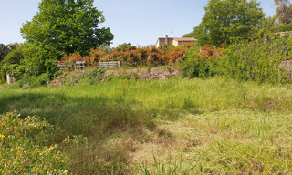 Photo N° 3