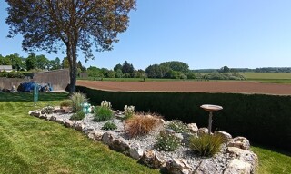 Photo N° 3