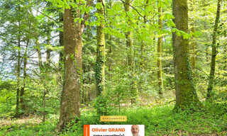 Terrain  4078 m² à vendre à Nieul (87510)