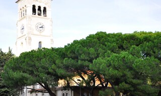 Photo N° 2