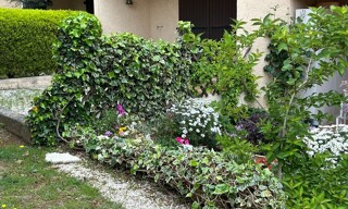 Photo N° 3