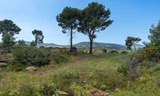 Terrain  7720 m² à vendre à Le Beausset (83330)
