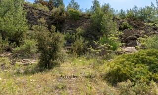 Photo N° 5