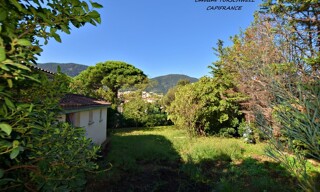 Photo N° 5