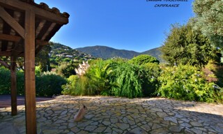 Photo N° 6