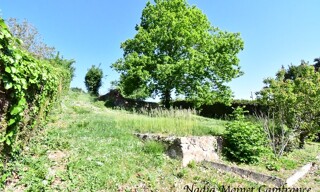 Photo N° 6