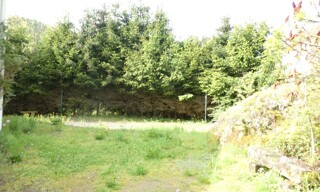 Photo N° 4