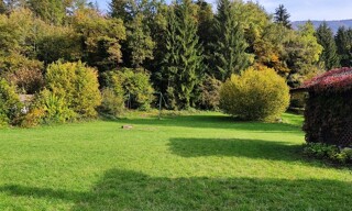 Photo N° 6
