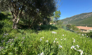 Terrain  623 m² à vendre à Occhiatana (20226)