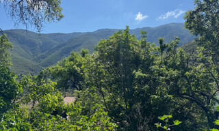 Photo N° 2