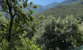 Photo N° 4