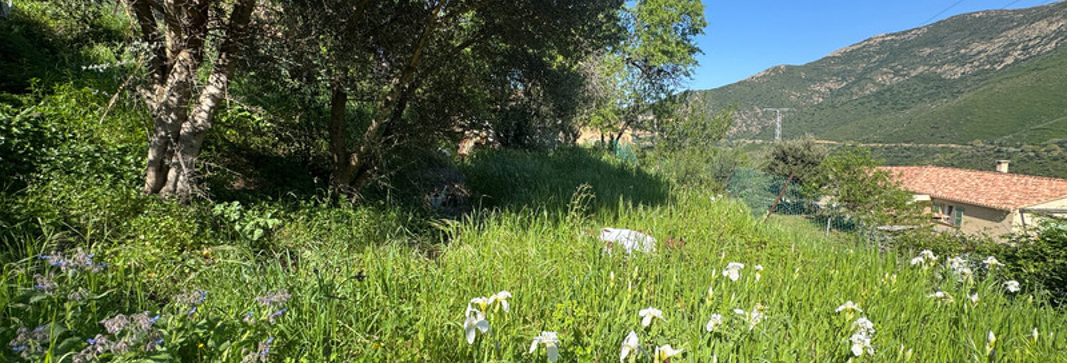 Terrain  623 m² à vendre à Occhiatana (20226)