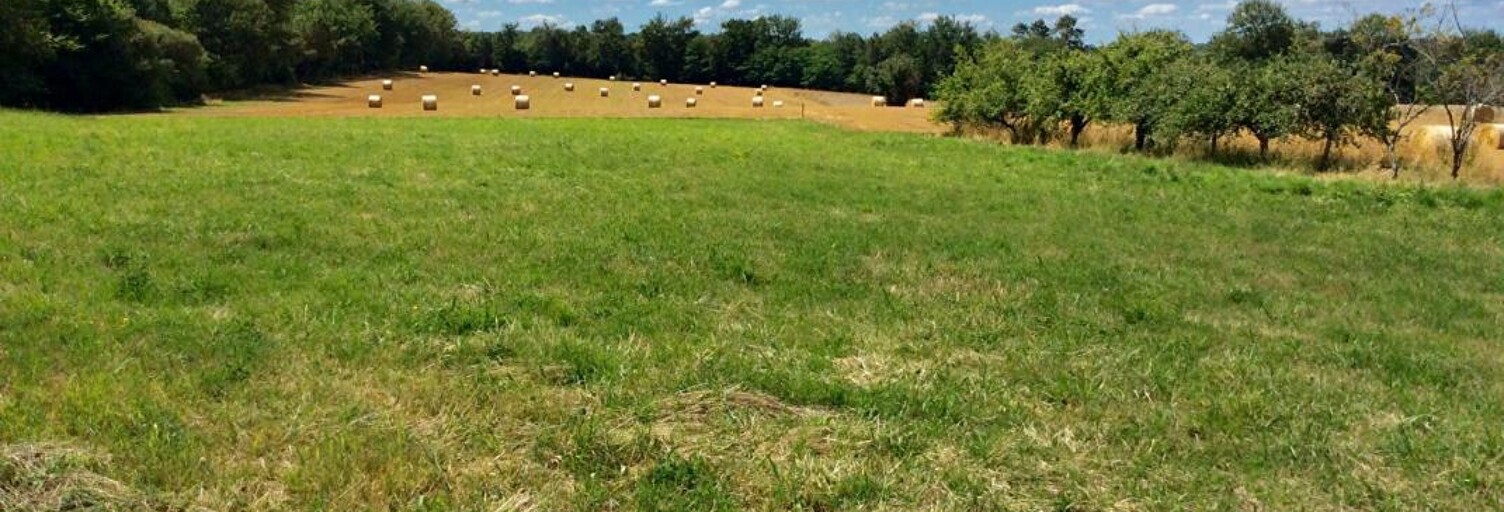 Terrain  2914 m² à vendre à Thiviers (24800)