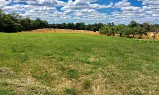 Terrain  2914 m² à vendre à Thiviers (24800)