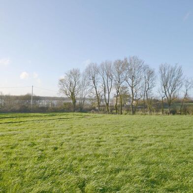 Terrain  56000 €