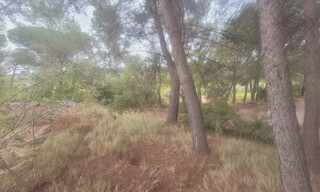 Photo N° 5