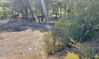 Photo N° 6