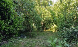 Photo N° 4