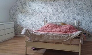 Photo N° 8