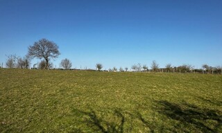 Photo N° 4