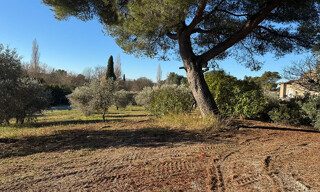 Photo N° 3