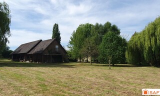 Photo N° 6