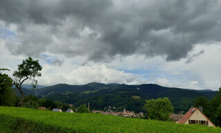 Photo N° 3