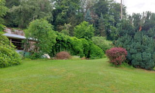 Photo N° 5