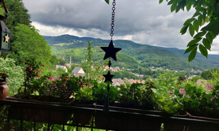 Photo N° 6