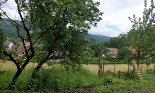 Photo N° 11