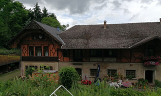 Photo N° 21