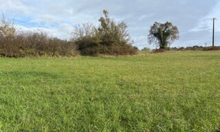Photo N° 4