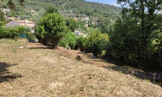 Photo N° 3