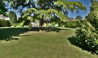 Photo N° 4