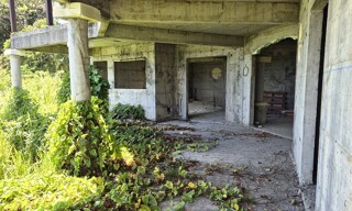 Photo N° 3