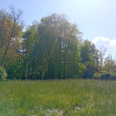 Terrain  60000 €