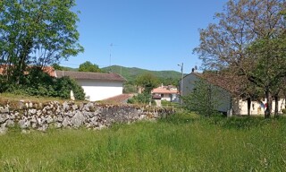 Photo N° 4