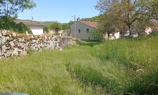 Photo N° 5