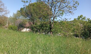 Photo N° 6