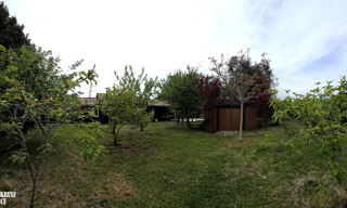 Photo N° 16