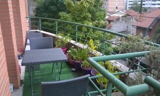 Photo N° 2
