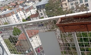 Photo N° 6