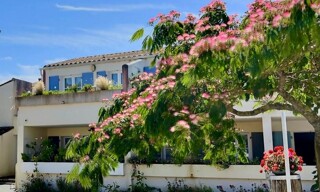 Appartement 1 Pièce 23 m² à vendre à La Flotte (17630)