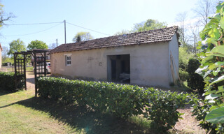 Photo N° 3