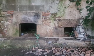 Photo N° 5