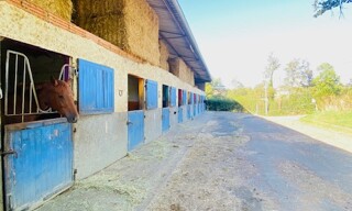 Photo N° 3